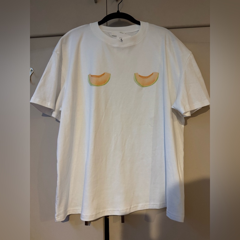 Women’s playful melon slices Graphic tee